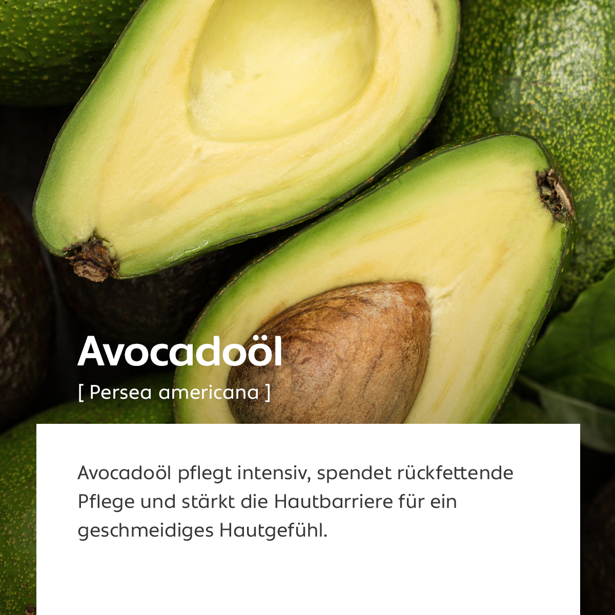 Aufgeschnittene Avocado mit sichtbarem Kern, Sinnbild für reichhaltige Pflege und Hautbarriere-Schutz